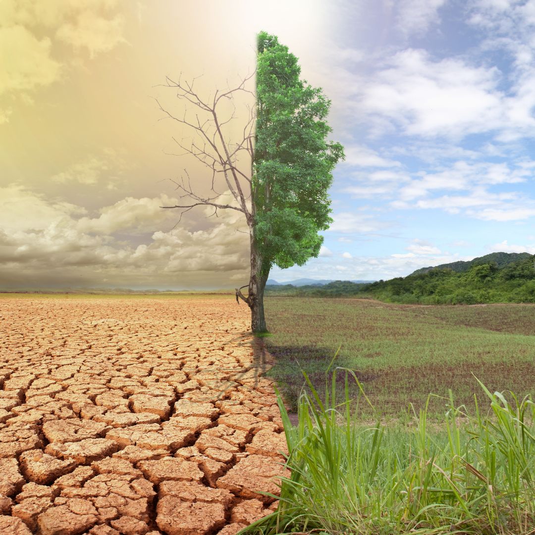 Climate Change and Environmental Challenges Facing the World in 2026